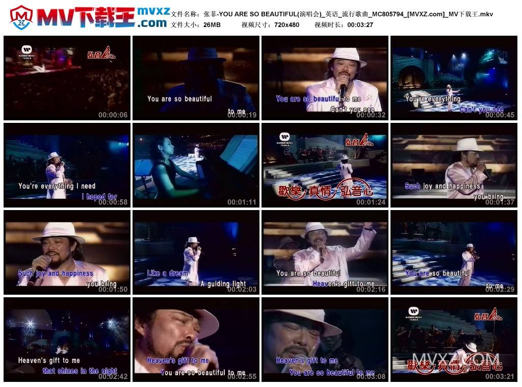 张菲-YOU ARE SO BEAUTIFUL(演唱会)_英语_流行歌曲_MC805794